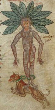 066021fa05bfa89884c8e6f58a202581