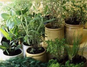 7786fbc4c47041191bc24f665119839f