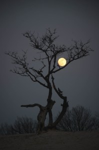 262d45f5070200b35073622741305730