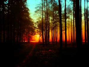 947ef2681cda7864176054450cc57599-d5we4om