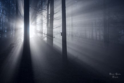 der_morgen_by_arkanumtenebrae-d6xsngy