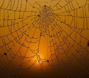 b657814eb2d3283f6bfc3feb98740ad9