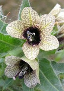 5a8d6528f62803cd35c4f9e693d212a4