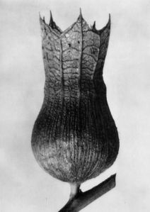 77ecfae894522c01da2552fb9ca5e7a7