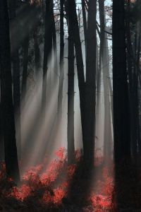 fbf0e3464c56fe1212bf8f17a5fdffab