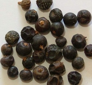 7ce28ad2a64184cb2a17b8b4e95f1ad8