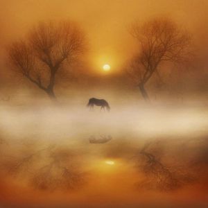 ebd9dfa14114a0b9a438d2505cb3ef39