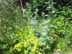 20150615_102401_20150615_103607